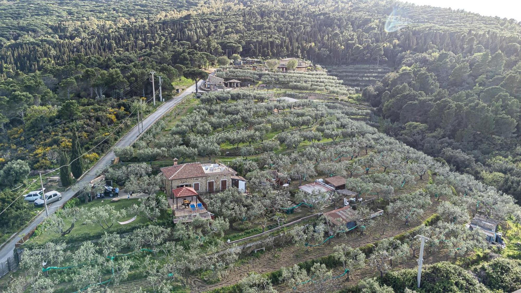 Bellezza In Cilento Panoramic Apts Castellabate Exterior foto